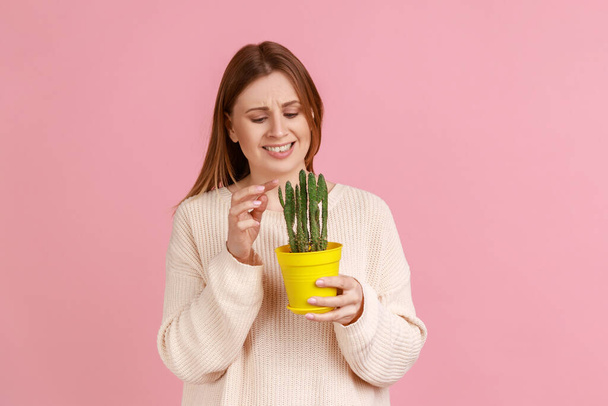 Portrait of attractive young adult blond woman holding yellow flower pot with prickly cactus flower, looking at plant, wearing white sweater. Indoor studio shot isolated on pink background. - Foto, Imagem