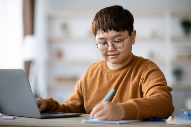 Intelligent korean kid doing homework at home - 写真・画像
