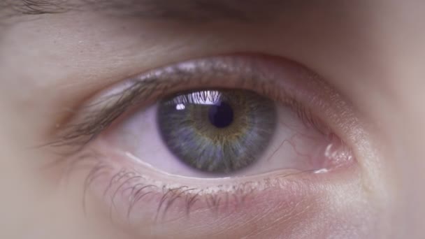 Extreme close-up van een mooi meisjes blauw oog. De blanke vrouw opent haar oog. Natuurlijke wimpers, goed verzorgde wenkbrauwen. Perfect schone huid - Video