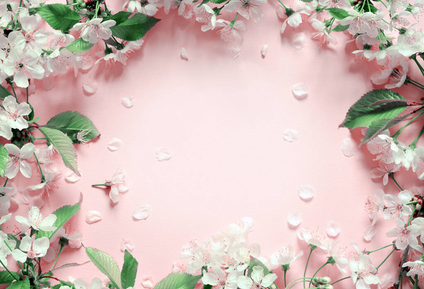ピンクの背景に花の枝や花弁。春のコンセプト. - 写真・画像