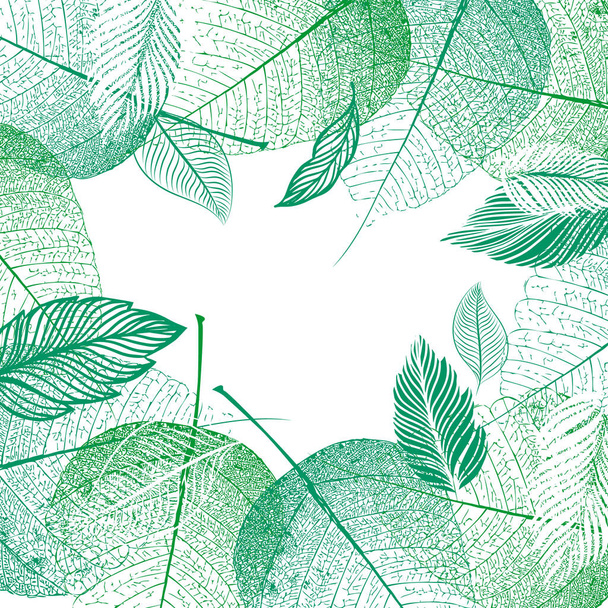 Square frame of green leaves. Vector illustration - Vetor, Imagem
