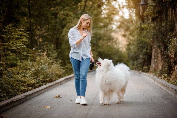 Young beautiful woman in white shirt is walking outdoors in the park  with her white dog samoyed. - Valokuva, kuva