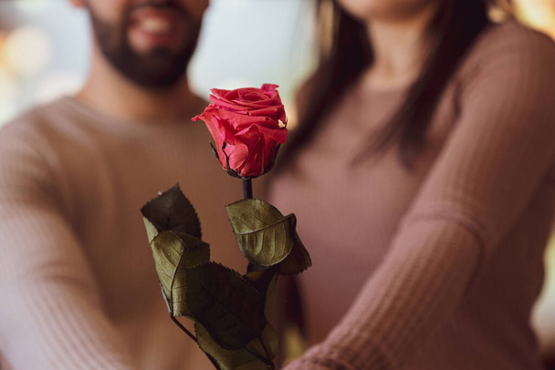 Rose flower held by an unrecognizable couple of lovers - Fotoğraf, Görsel