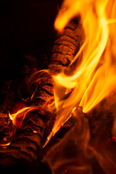 Burning wood in a campfire close-up. Selective focus. Charcoal in a bright red flame. Flashes and sparks in the fire of a forest fire. The concept of warmth and comfort. - Φωτογραφία, εικόνα