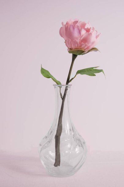 glass vase with artificial camellia on a background of pacific pink - Foto, imagen