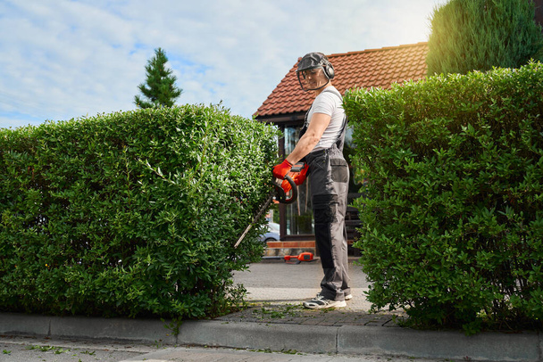 Gardener cutting bushes with electric trimming machine - Photo, image