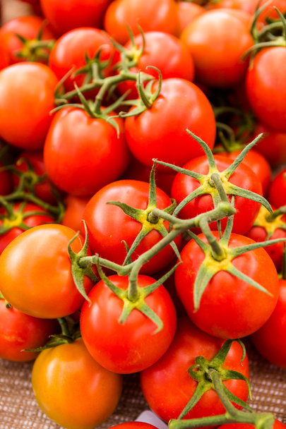 червоні помідори
 - Фото, зображення