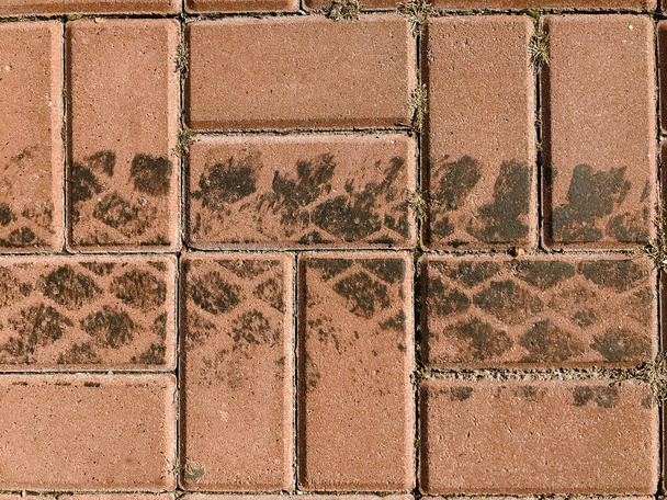 Urban tiles are pale red with traces of car tire treads.  - Foto, Imagem