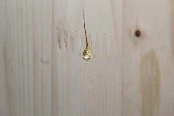 Drop of spruce resin on freshly sawn boards - Fotó, kép