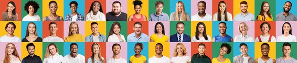 Smiling multiracial men and women posing on colorful backgrounds, panorama - Fotografie, Obrázek