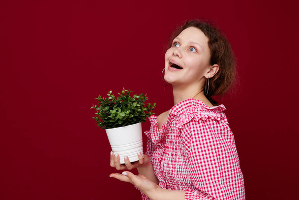 pretty woman in pink blouse flower potted emotions posing unaltered - Фото, изображение