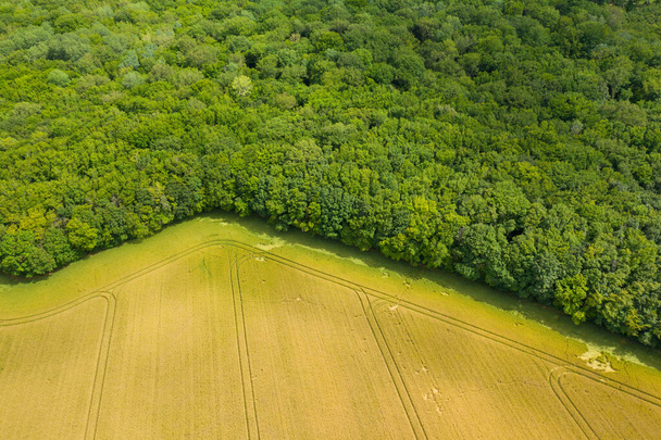 Αυτή η φωτογραφία τοπίου τραβήχτηκε στην Ευρώπη, Γαλλία, Βουργουνδία, Nievre, το καλοκαίρι. Βλέπουμε ένα χωράφι με σιτάρι στην άκρη ενός δάσους, κάτω από τον ήλιο.. - Φωτογραφία, εικόνα