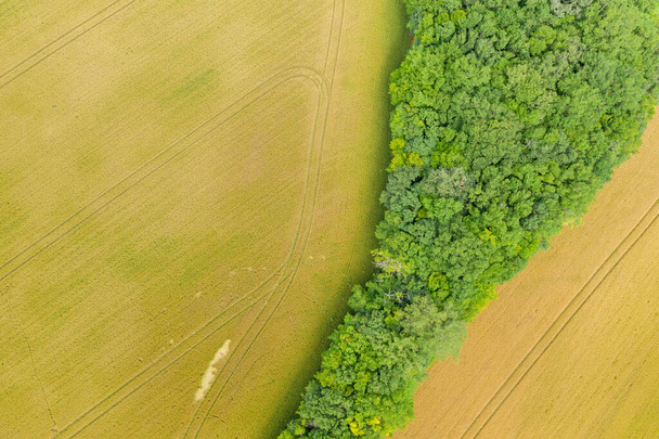 Cette photo de paysage a été prise en Europe, en France, en Bourgogne, à Nièvre, en été. Nous voyons une forêt au milieu des champs de blé, sous le soleil. - Photo, image