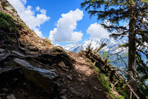 Αυτή η φωτογραφία τοπίου τραβήχτηκε στην Ευρώπη, στη Γαλλία, στις Άλπεις, προς το Chamonix, το καλοκαίρι. Βλέπουμε ένα μονοπάτι πεζοπορίας που αντιμετωπίζει ο ορεινός όγκος Mont Blanc στο βουνό Mont Blanc, κάτω από τον ήλιο. - Φωτογραφία, εικόνα
