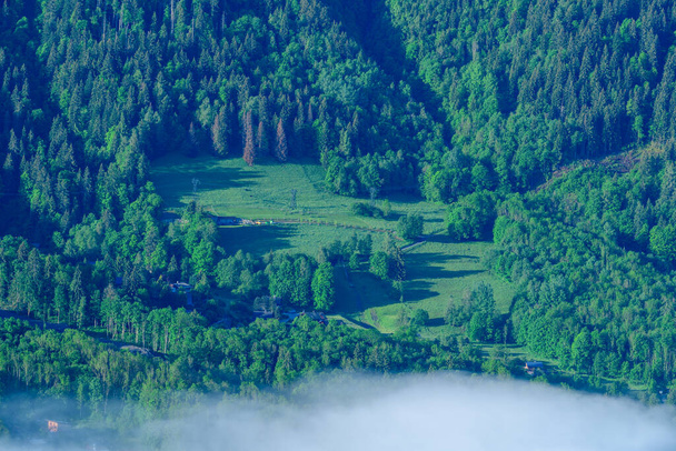 Deze landschapsfoto is genomen in Europa, in Frankrijk, in de Alpen, richting Chamonix, in de zomer. We zien het bos richting Les Houches in het Mont Blanc massief, onder de zon. - Foto, afbeelding