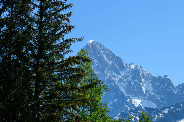 This landscape photo was taken in Europe, in France, in the Alps, towards Chamonix, in summer. We see the Aiguille Verte and the Aiguille du Dru and a fir tree in the Mont Blanc massif, under the Sun. - Photo, Image