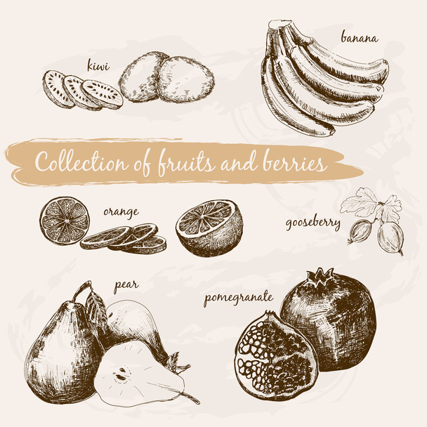 Sammlung von Früchten und Beeren - Vektor, Bild