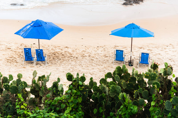 Blauwe parasol op het zand van Paciencia strand in de wijk Rio Vermelho in Salvador, Bahia, Brazilië. - Foto, afbeelding