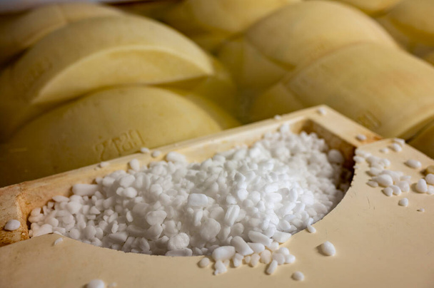 Processo di produzione del parmigiano reggiano parmigiano a pasta dura in piccola azienda a Parma, ruote salamoia in bagno di salamoia per assorbire il sale per 2025 giorni - Foto, immagini