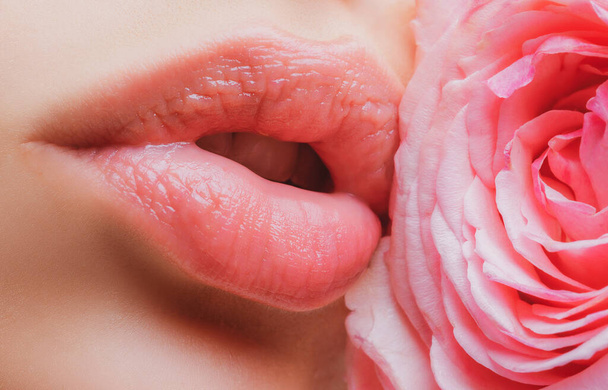 Natural lips. Lips with lipstick closeup. Beautiful woman mouth with rose. - Zdjęcie, obraz