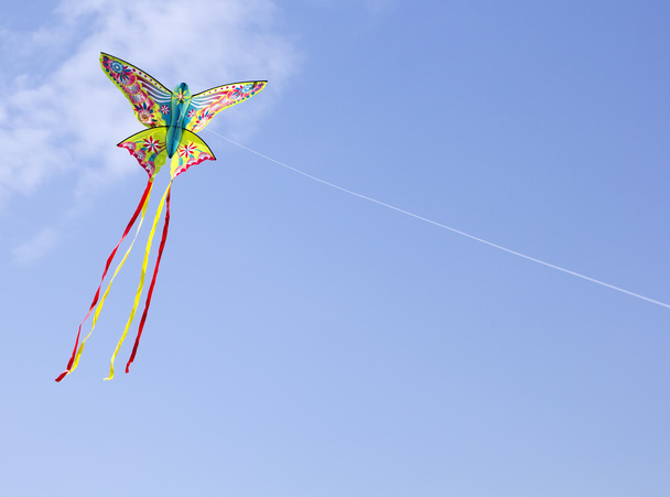 Cerf-volant coloré
 - Photo, image