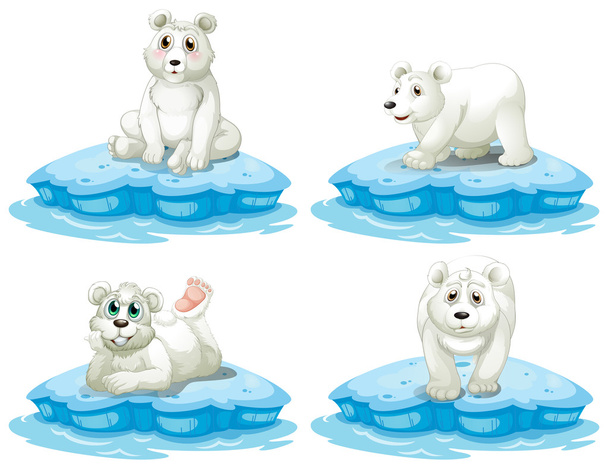 lední medvěd - Vektor, obrázek