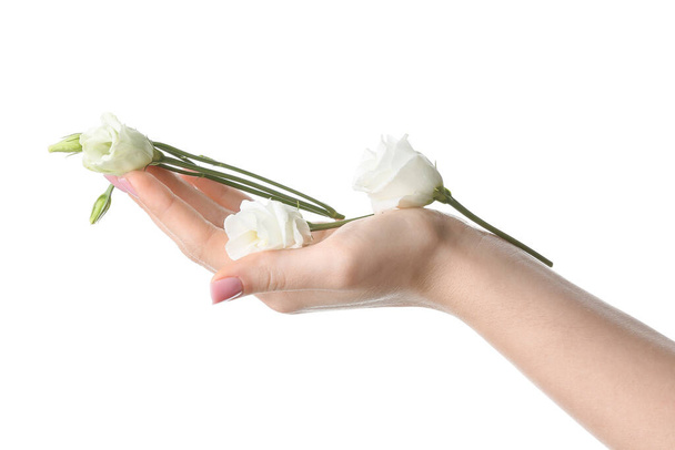 Female hand with flowers on white background - Fotografie, Obrázek