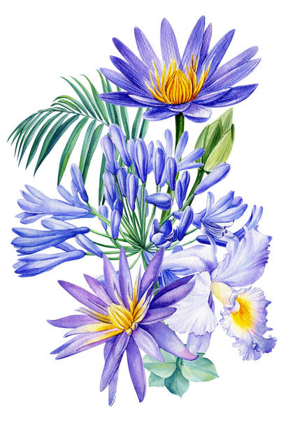 Flores azules tropicales, loto, orquídea, bellflowers, hoja de palma en blanco aislado, dibujo de acuarela, pintura botánica - Foto, imagen
