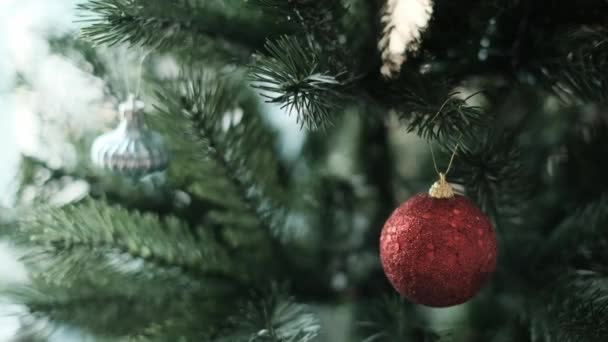 Decorating the christmas tree - Footage, Video