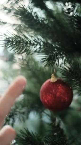 クリスマスツリーを飾る - 映像、動画