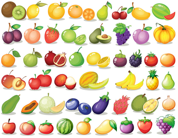 Früchteset - Vektor, Bild