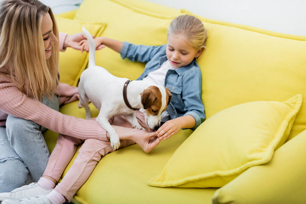 Blurred kid playing with jack russell terrier near mother at home  - Foto, immagini