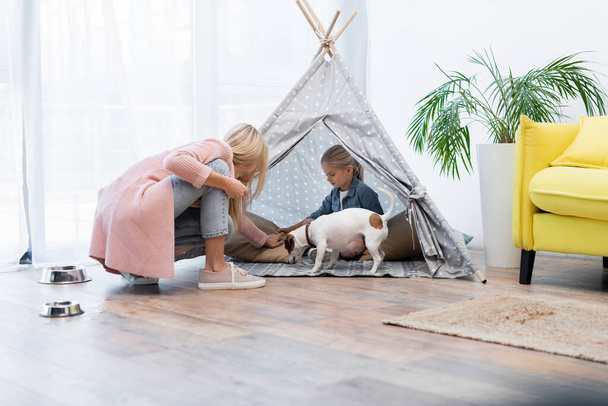 Child sitting in tent near jack russell terrier and mom at home  - Fotografie, Obrázek