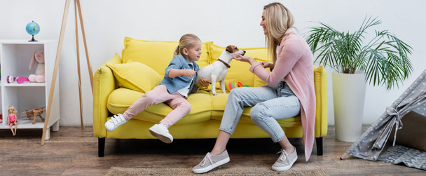 Family petting jack russell terrier near toys at home, banner  - Valokuva, kuva