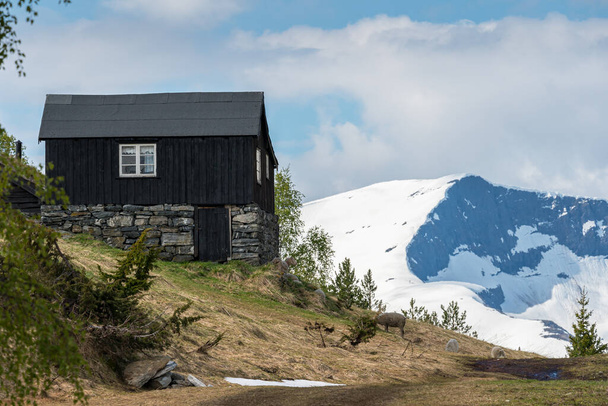 VALLDAL, NORWEGEN - 2020 JUNI 09. Dunkle Hütte mit Bergen und Gletscher im Hintergrund. - Foto, Bild