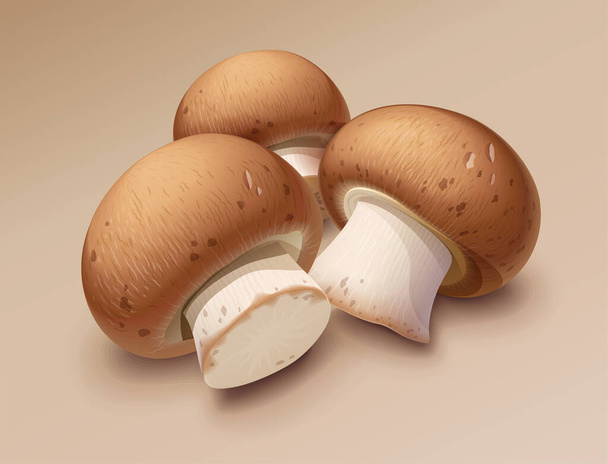 Champignon. Whole mushroom. Eps10 vector illustration. - Vector, afbeelding