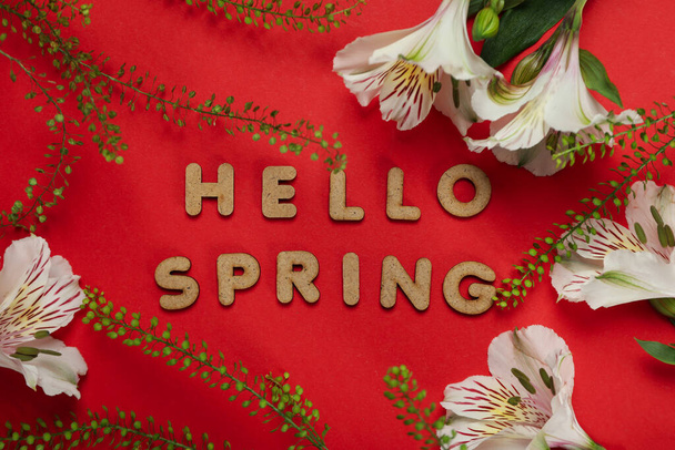 "Hello spring" concept on red background, top view - Фото, изображение