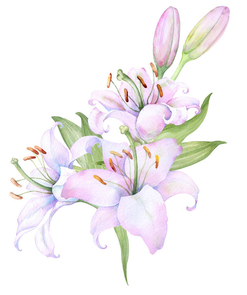 Bouquet white lilies, watercolor flower arrangement - Vector, Image