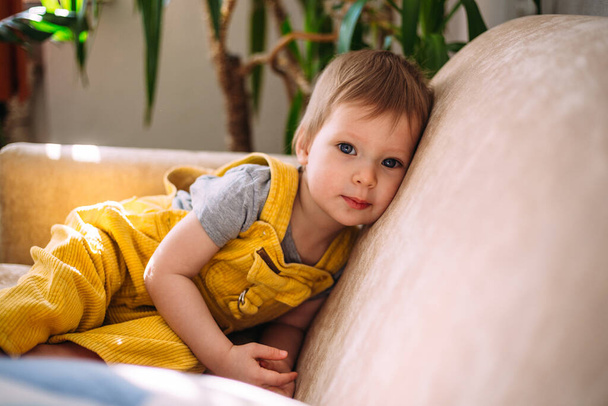 Lustiges kleines Kind hat Spaß beim Spielen mit Plüschtieren auf der heimischen Couch. - Foto, Bild