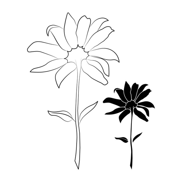 Set of two open heliopsis blossom vector illustration isolated on white background. Vector sketch style top view hand drawing of wild, heliopsis, false sunflower. - Vector, Image