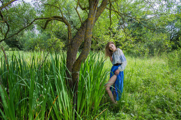 Una chica con una falda azul larga y una camisa bordada entre el prado verde y la hierba del pantano y los sauces. - Foto, imagen