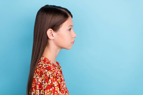 Profile side photo of young attractive girl smart look empty space isolated over blue color background. - 写真・画像