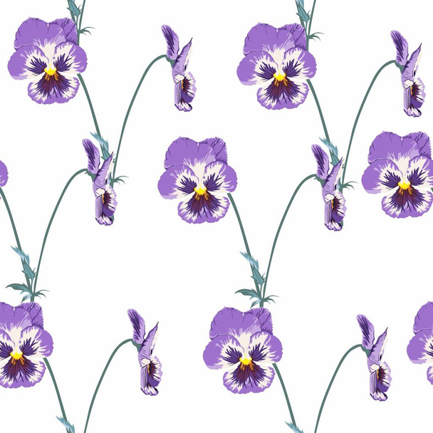 Seamless pattern with spring flowers.  Viola on white background.  - Вектор,изображение