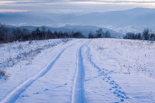 Winter landscape in the Carpathian mountains - Foto, Bild