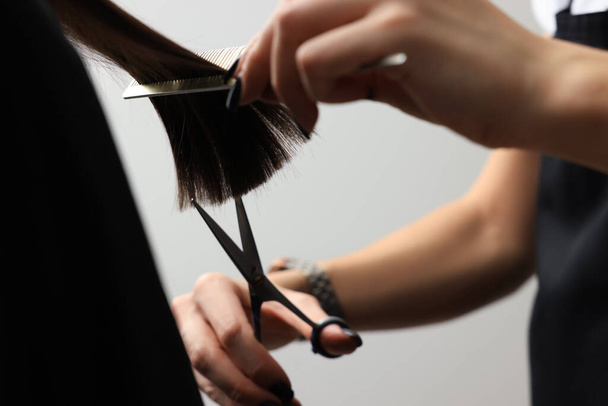 Professional hairdresser cutting woman's hair, closeup view - Photo, image
