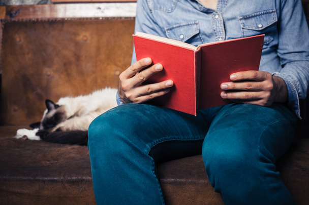 man reading on sofa with cat - Foto, Bild