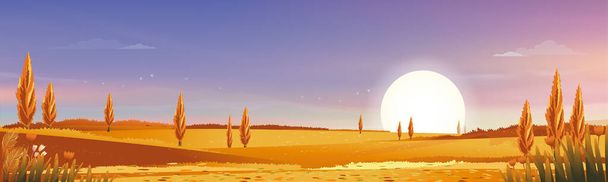 Осенний сельский пейзаж в вечернем свете с закатом, синий и оранжевый фон неба, векторный мультфильм осень сезон в сельской местности с лесным деревом и травяным полем с восходом солнца, фон природный  - Вектор,изображение