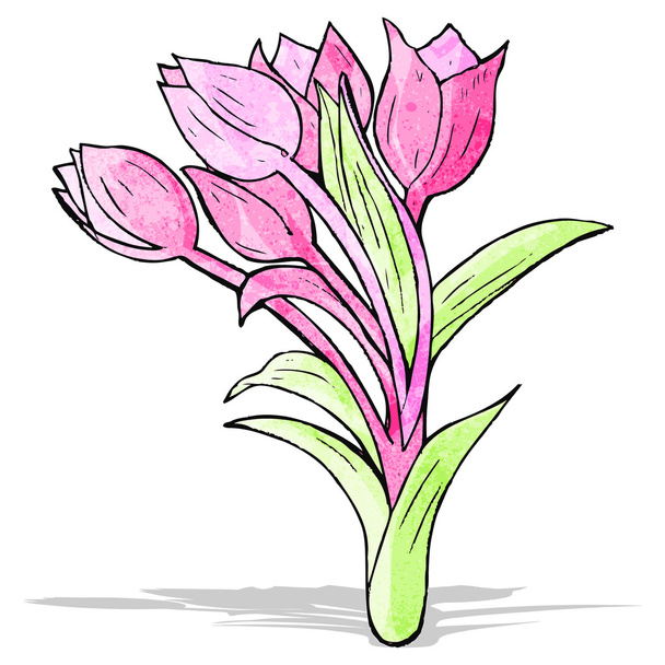 Ilustrace květin - Vektor, obrázek