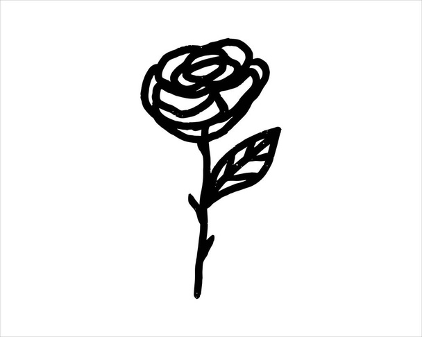 rose illustration in a simple doodle line drawing. a vector drawing of a beautiful rose for design, print, sticker, etc. - Vetor, Imagem