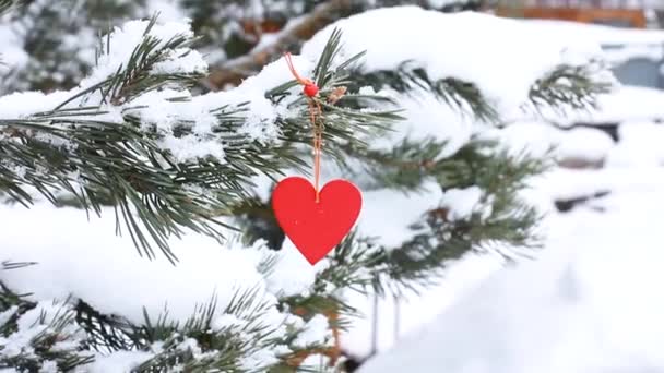 picea de nieve al aire libre decorado con un corazón de madera roja. el concepto de día de San Valentín, día de San Valentín - Metraje, vídeo